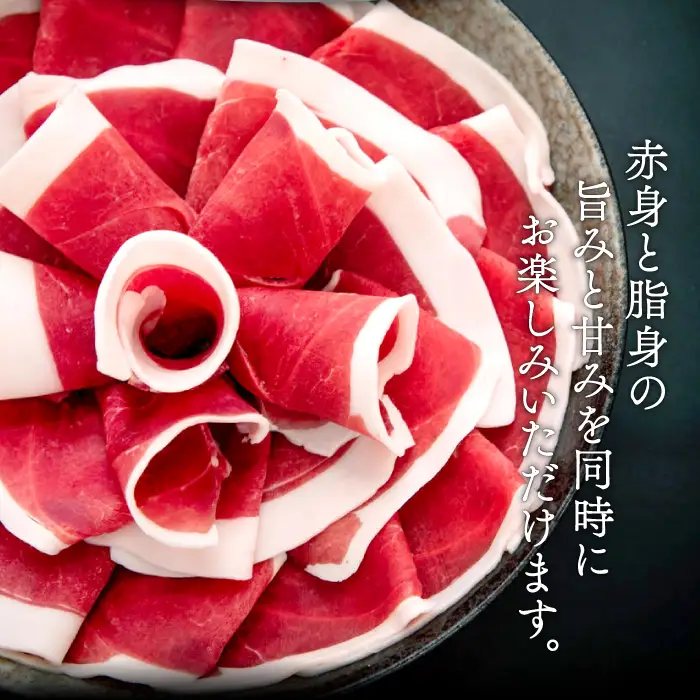【定期便3回】イノシシ肉 味噌すき鍋セット 約500g