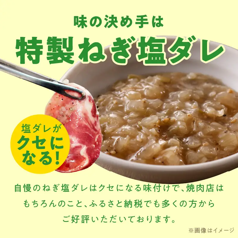 【ふるなびWEEK対象】牛タン 2kg ねぎ塩 牛タン FN-Limited-WE
