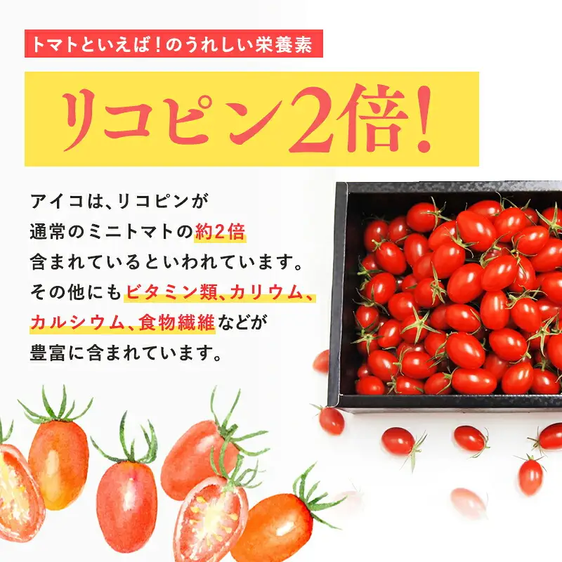  高糖度 ミニトマト [アイコ] 約1kg 【hi-0016-003】
