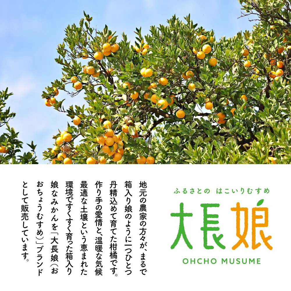大長娘 100% 蜜柑ジュース 720ml×6本 柑橘 広島県 呉市