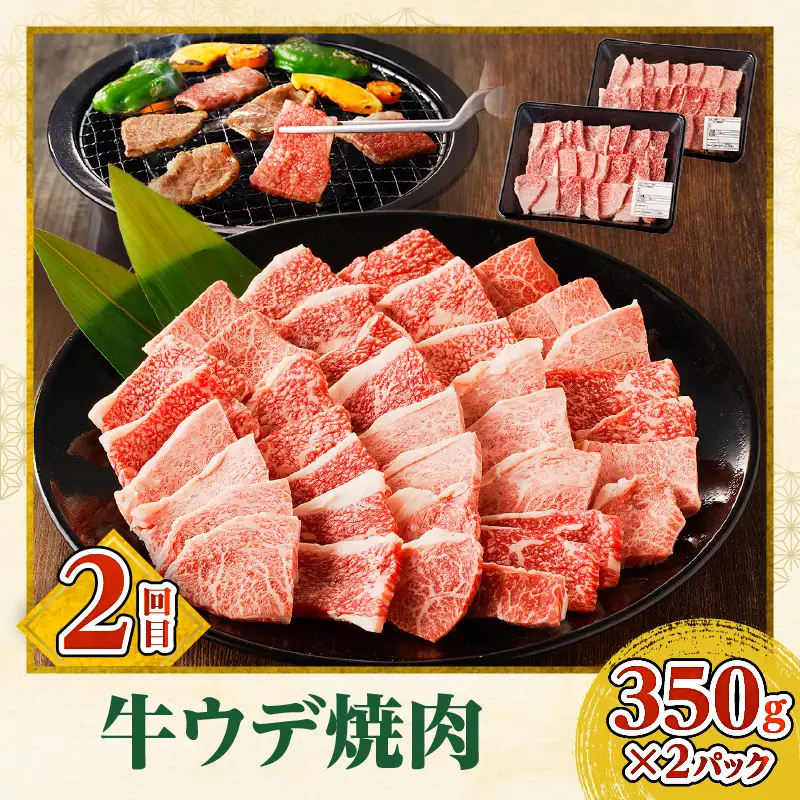 宮崎牛焼肉3回定期便 肩ロース モモ ウデ