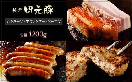 【定期便12ヶ月】四元豚 グルメセットB 4種 1.2kg 【1903】