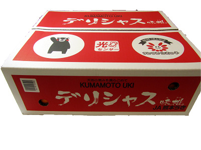 令和8年熊本地震復興支援 先行予約 早生みかん デリシャス 約5kg 【2026年11月上旬?11月下旬頃発送予定】