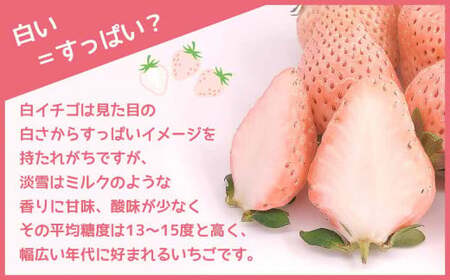 【年末年始発送】白いちご 淡雪 約500g ｜ 西谷農園