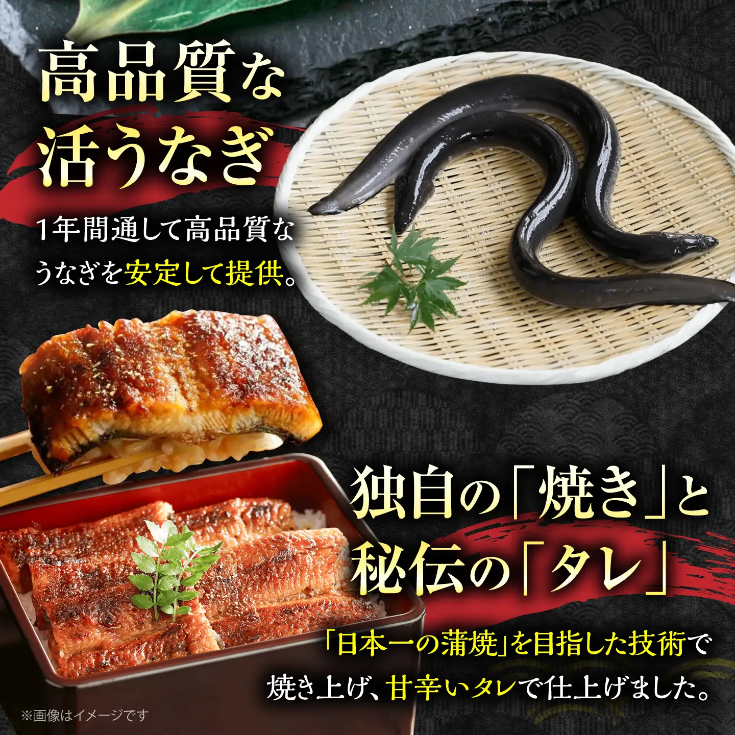 うなぎ 蒲焼大10尾 うなぎ VAD026