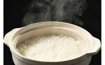 【定期便】6か月 座間市産米 はるみ5kg×6回 | 令和8年産 米 お米 こめ おこめ 白飯 白米 ご飯 ごはん 農家直送 神奈川県 座間市 ※離島への配送不可※2026年10月～発送