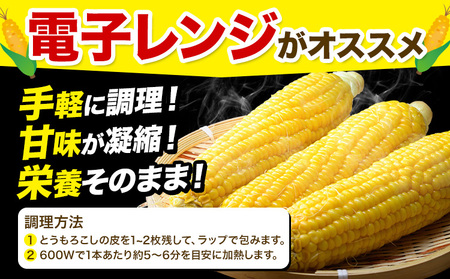 とうもろこし ゴールドラッシュ  8.5kg 以上 北海道 名寄 スイートコーン