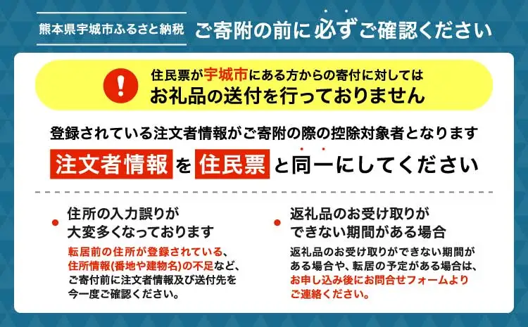 先行予約 令和9年産 熊本最高級新茶 2袋セット【2027年6月中旬〜6月下旬頃順次発送予定】