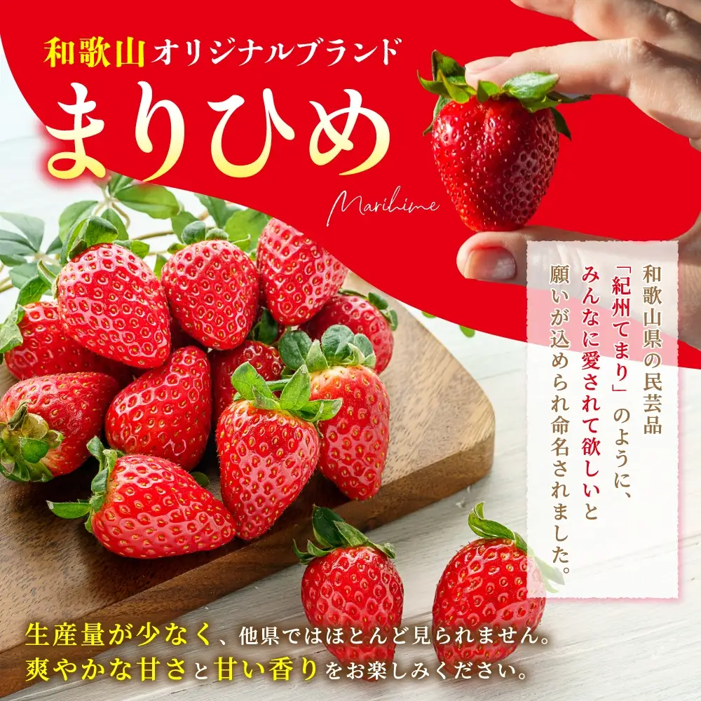 【先行予約】まりひめ いちご 12粒～15粒入り×2パック（500g）2027年1月中旬頃～2027年3月下旬頃に順次発送予定（お届け日指定不可）/ いちご 苺 まりひめ 和歌山 フルーツ 果物 くだもの【kgr007B】