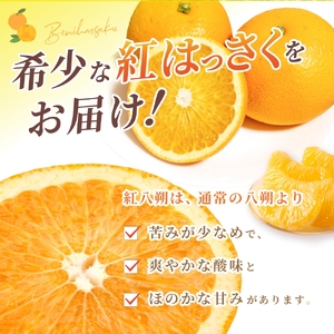 【先行予約】【数量わずか】あふれる果汁！ 希少な紅はっさく 秀品 5kg L～２L 2027年2月初旬〜2027年3月中旬頃に順次発送予定（お届け日指定不可）/ ハッサク 八朔 紅八朔 紅はっさく フルーツ 柑橘 蜜柑 果物 くだもの【kgr006A】