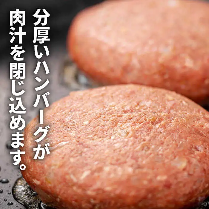 【3回定期便】長崎和牛 牛タン入りハンバーグ150g×12個 計5.4kg / ハンバーグ はんばーぐ 小分け 冷凍 人気 / 南島原市 / 原城温泉 真砂 [SFI007]