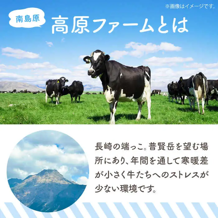 ジェラート 濃厚ミルク 6個入り / ジェラート じぇらーと アイスクリーム あいすくりーむ スイーツ デザート / 南島原市 / 高原ファーム [SFP001]