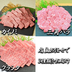 BL089_【サシ入系おまとめ】佐賀牛希少部位焼肉3種盛り（200g×3種 合計600g）