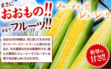 朝採れ とうもろこし おおもの 約5kg (13本入 2L) 七戸宏大 岩手県九戸村