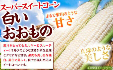 朝採れ 白いとうもろこし 白いおおもの 約5kg (13本入 2L) 七戸宏大 岩手県九戸村