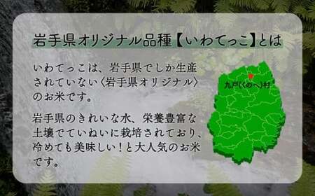 米 いわてっこ 10kg《30日以内に出荷予定(土日祝除く)》 岩手県 九戸村 一等米 精米 白米 お米