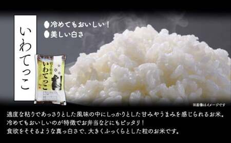 いわてっこ 5kg ひとめぼれ 5kg 贅沢食べ比べセット《30日以内に出荷予定(土日祝除く)》 岩手県 九戸村 一等米 白米 米 精米 10kg