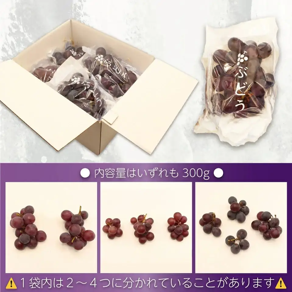【2026年収穫分 先行予約】【JAむなかたより】巨峰1.2kg【JAほたるの里】_HA1476