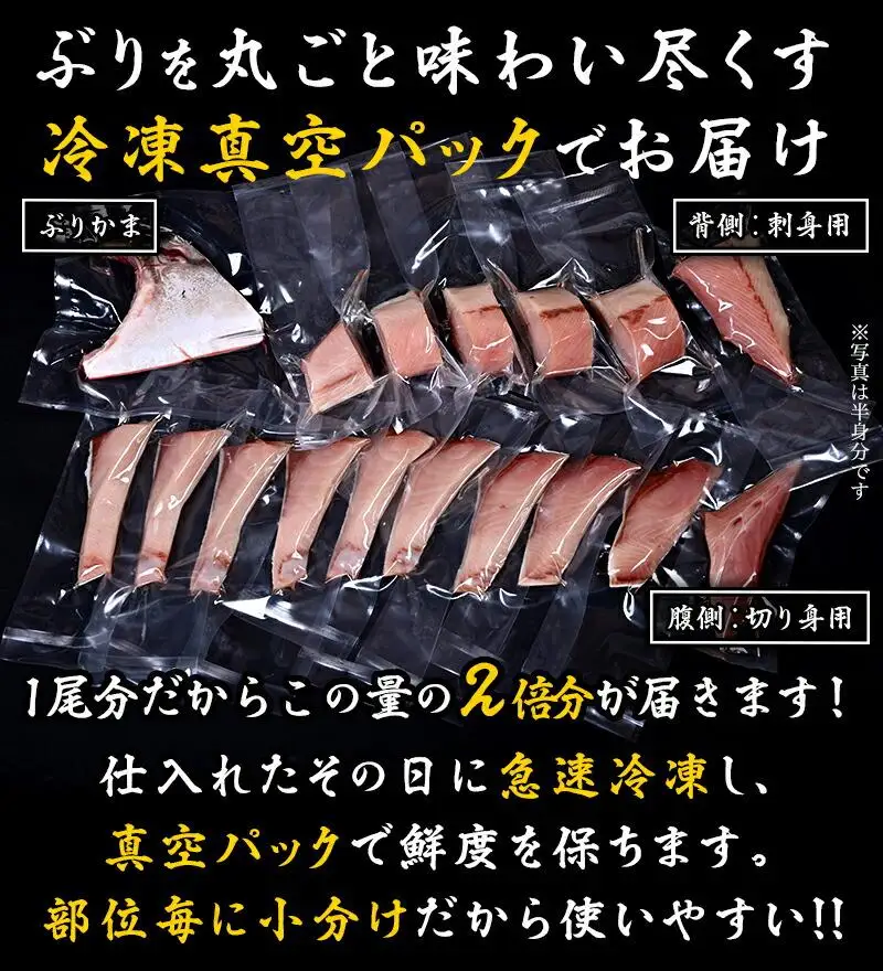 羅臼産ぶり三昧１尾分 魚 天然 ぶり 知床 北海道