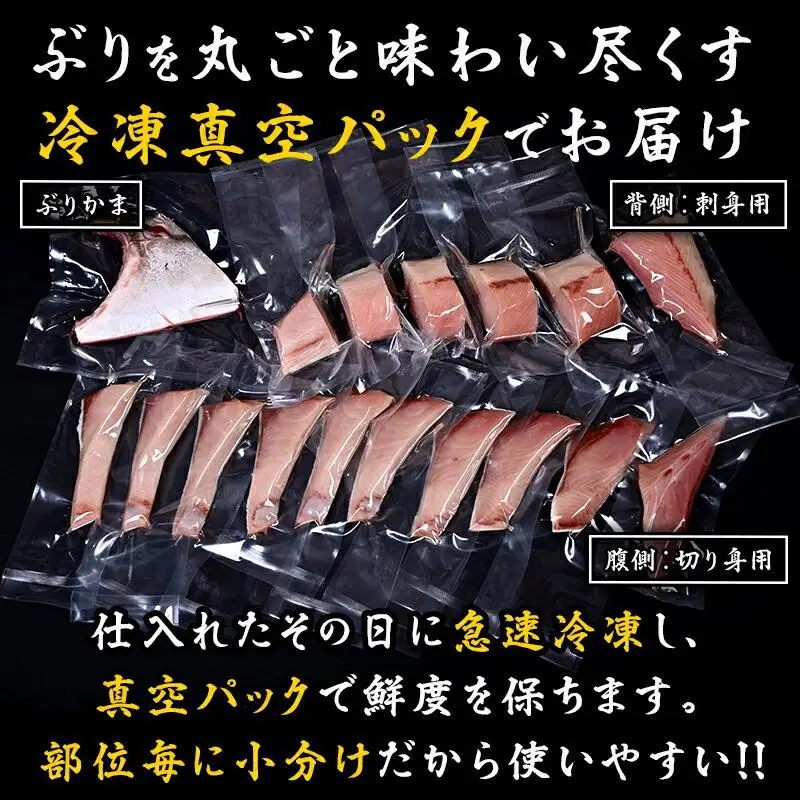 羅臼産ぶり三昧　半身分 魚 天然 ぶり 知床 北海道