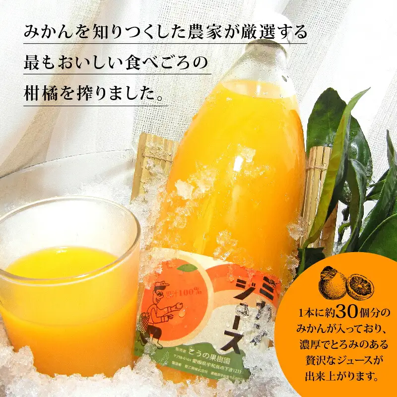 完熟 みかんジュース化粧箱入り1L 2本こうの果樹園 ジュース H012-182001