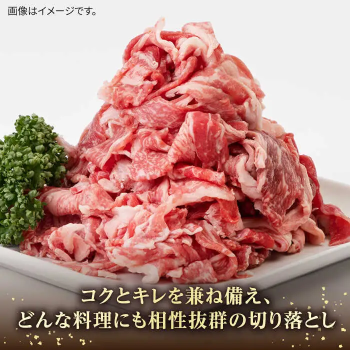 【全2回定期便】壱岐牛切り落とし 500g [JBO118] 26000 26000円