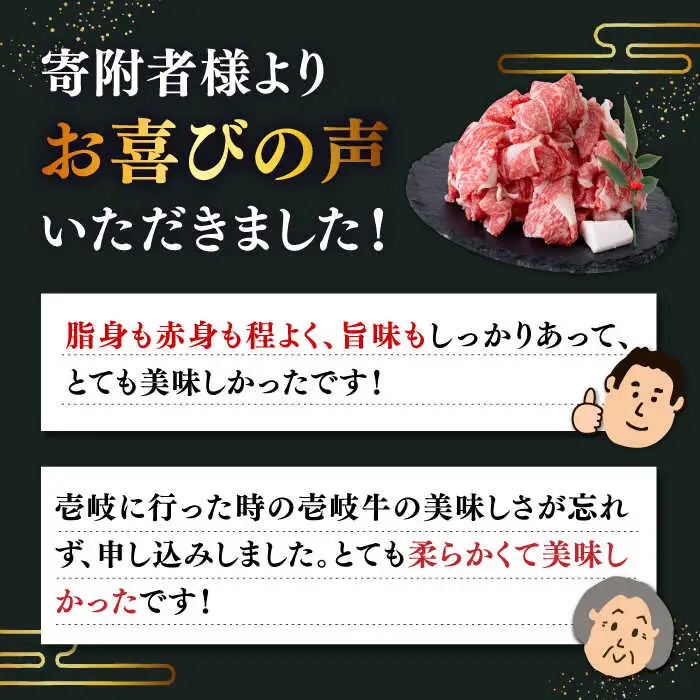 【全2回定期便】特選 壱岐牛 切り落とし 500g (牛丼/肉じゃが/炒め物) [JDD036]