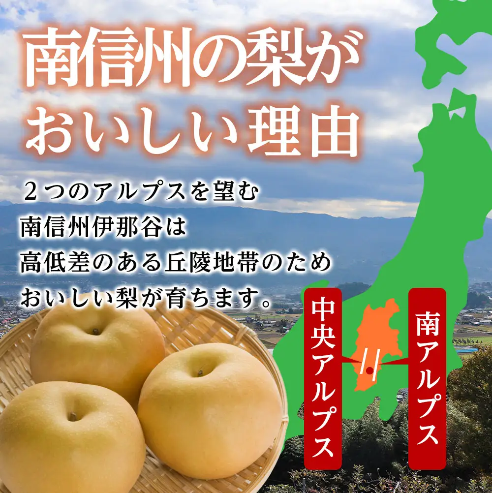 【長野県産】果汁たっぷりで甘～い梨（南水）約5kg秀品＜2026年9月中旬から発送＞