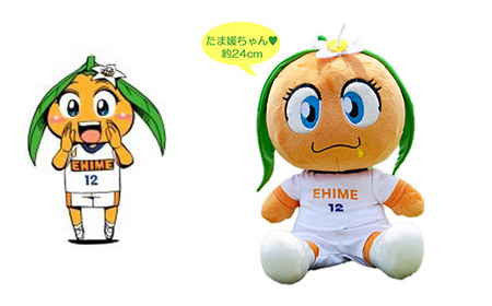 愛媛FC マスコットぬいぐるみ三柑セット（オ～レくん・たま媛ちゃん・伊予柑太） サッカー カワイイ