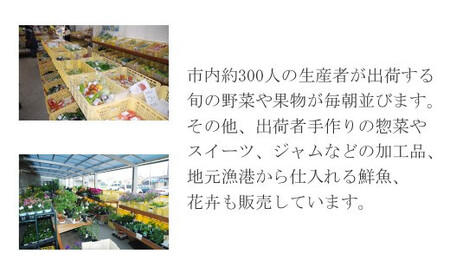 白米 精米 えひめ未来農業協同組合 「新居の恵み (ヒノヒカリ) 令和7年産」 10kg