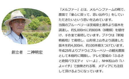 【定期便】 ブルーベリー三昧Bセット（約17kg／9回発送） 完熟生ブルーベリー（8月中旬以降は冷凍ブルーベリー） エコえひめ認証