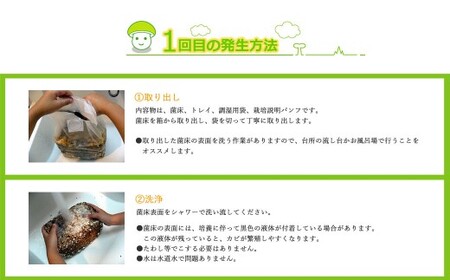 しいたけ栽培キット にょきっと 6個セット