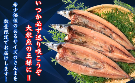 訳ないでぇ さんま開き１６枚 分けないで 下剋上 さんま 開き さんま サンマ 秋刀魚 さんま開き 訳なし サンマ開き 大きい 希少サイズ 正規品 国産さんま開き 国内加工 季節の味覚 銚子 海の幸 海鮮 干物 開き 冷凍 新鮮 贈り物 お取り寄せ 千葉県 銚子市