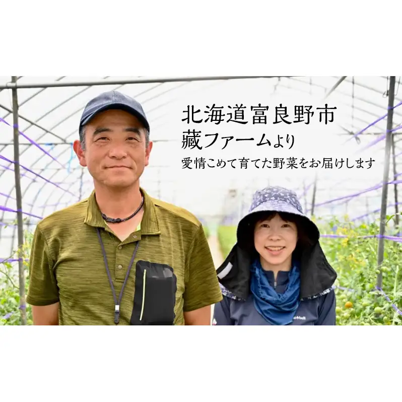 野菜セット 富良野産 完熟 ミニトマト キャロル アスパラ 緑紫【全3回】【定期便】