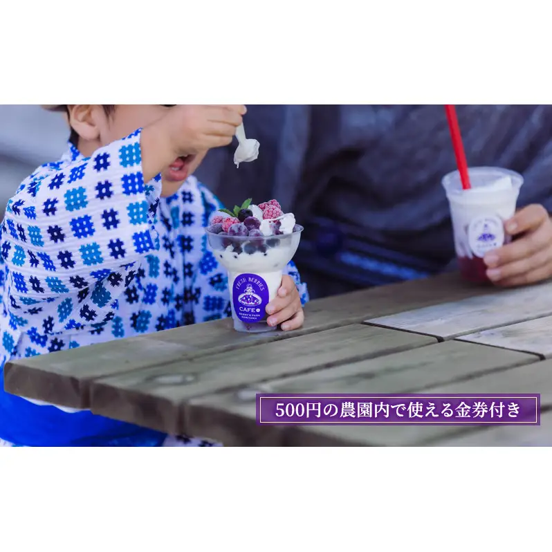 ブルーベリー食べ比べ体験ペアチケット(大人) 