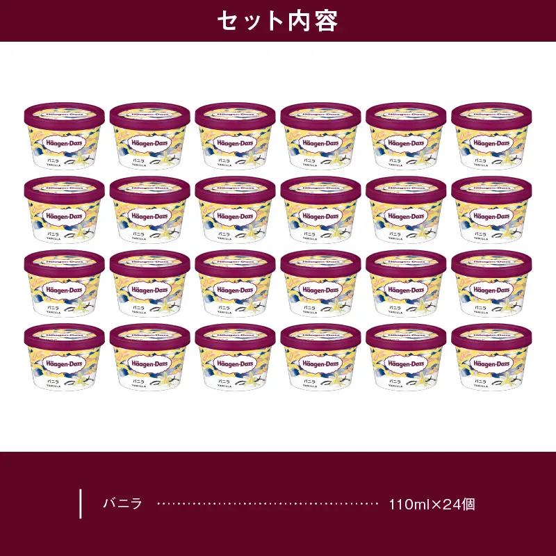 ハーゲンダッツ『ミニカップ24個セット(バニラ味)』アイスクリーム アイス スイーツ デザート_H0016-129