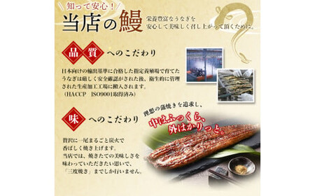 ▼うなぎ蒲焼 4尾 計約960g （タレ・山椒付き） 1尾で約240gのビッグサイズ 【通常発送】 【nks205-240x4-tu-C】