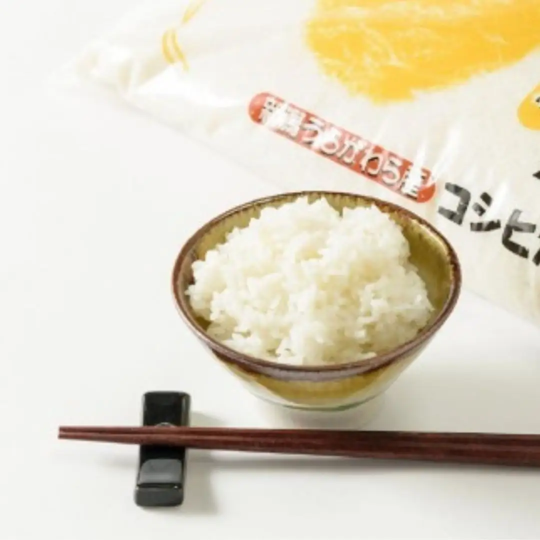 【毎月定期便・全12回】極上の雪国米 コシヒカリ 精米 5kg コシヒカリ