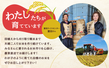 渥美半島産 無洗米 コシヒカリ 10kg 新米 先行予約 米 無洗米 訳あり