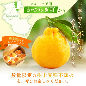 【先行予約】【数量わずか】樹上完熟しらぬい（不知火） 約2kg(6個) 秀品 2027年2月末～2027年3月末頃に順次発送予定（お届け日指定不可）/ 和歌山 みかん しらぬい 不知火 フルーツ 柑橘 蜜柑 果物 くだもの【kgr005】