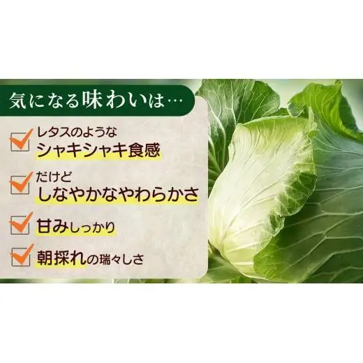 ふるなびWEEK対象】＜レビューキャンペーン開催中＞【7月中旬発送開始