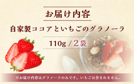 【2026年2月～発送】いちごとココアのグラノーラ2袋　ココア いちご 紅ほっぺ シリアル 朝食 ギフト｜フルーツ スイーツ 苺 牛乳 デザート おやつ イチゴ 子ども 大人 人気 甘い ビター 送料無料 岐阜県 本巣市  [mt290] family農園watanabe
