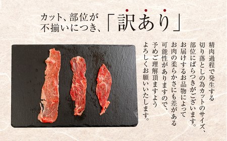 A5等級 飛騨牛 切り落とし 500g×2 計1kg 切り落とし  [mt368] トキノ屋食品