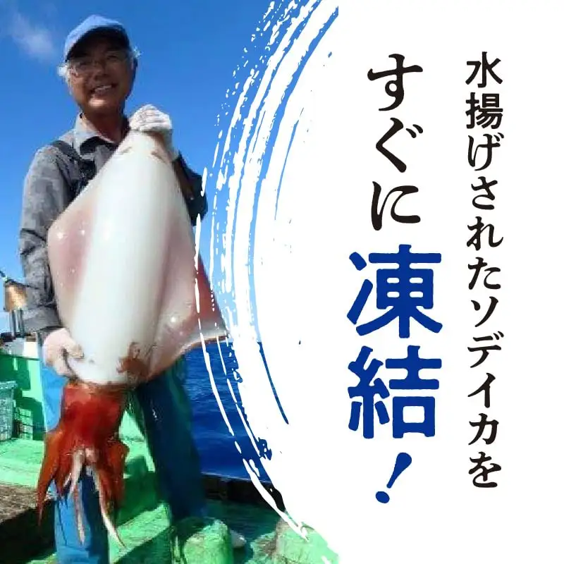 沖永良部島 天然 イセエビ 2kg ・ ソデイカ 1kg C010-016 魚介類 冷凍 海老 エビ 伊勢海老 烏賊 イカ