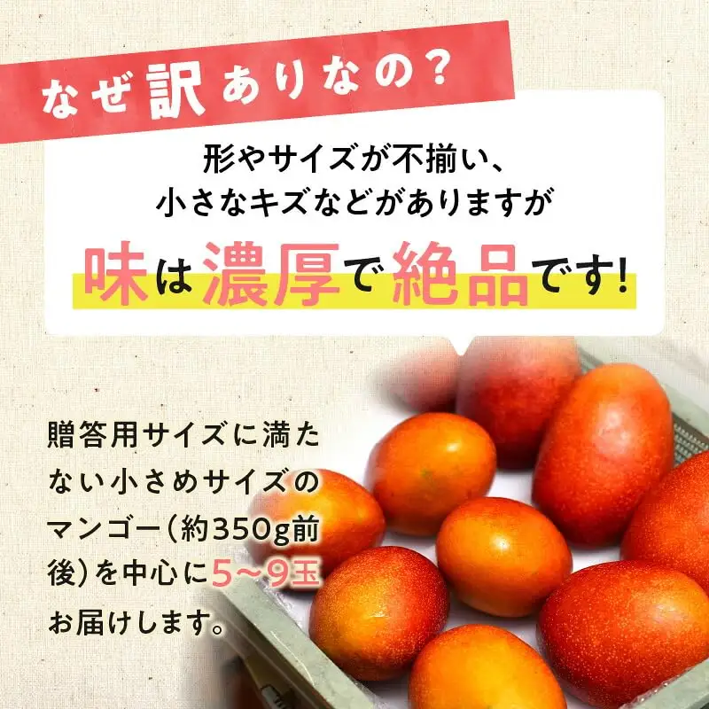 【 2027年先行予約 】伊井マンゴー園の訳あり完熟マンゴー（ご家庭用）約2キロ（5～9玉） C026-004 マンゴー 完熟マンゴー 訳あり