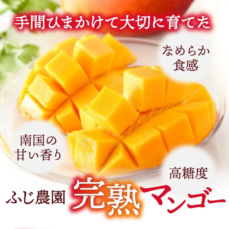 【 2027年先行予約 】ふじ農園の完熟マンゴー 1kg C031-001 マンゴー 完熟マンゴー