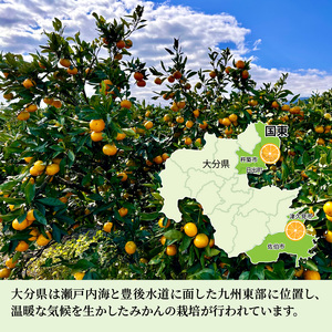 ふるさとの味 みかんジュース（190g×30本）_2403R