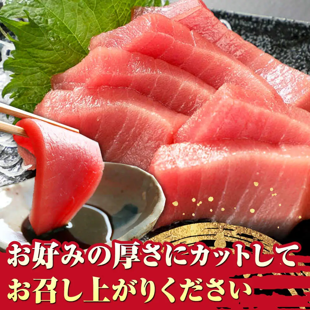 【1週間以内発送】対馬産 本マグロ 中トロ 1.2kg(8パック)マグロ まぐろ 本鮪 中とろ [WAH020] スピード発送 最速発送 最短発送