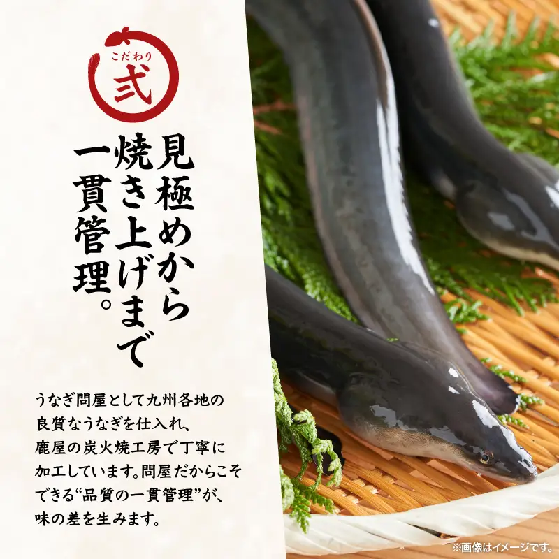 2423 【 期間限定 】 訳あり 備長炭手焼き うなぎ蒲焼 10尾 1,000g KN029-002-02 魚 冷凍 鰻