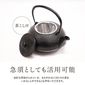 南部鉄器 鉄瓶 正方丸あられ 0.7L [AK041]